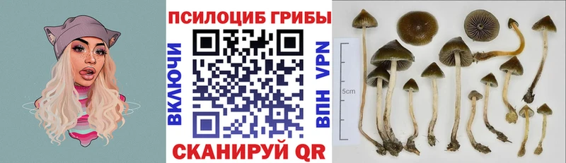 Галлюциногенные грибы MAGIC MUSHROOMS  купить наркоту  Облучье 